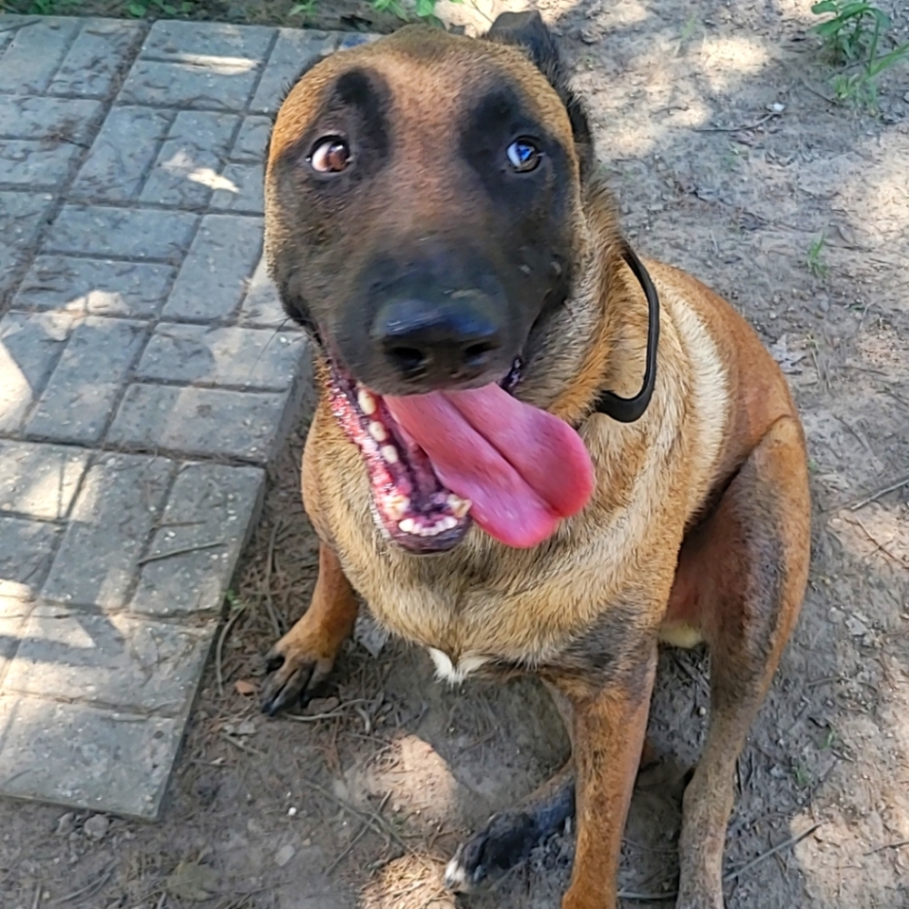 Meet your Posher, Kira